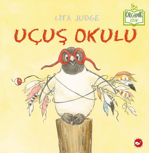 Organik Kitap - Uçuş Okulu