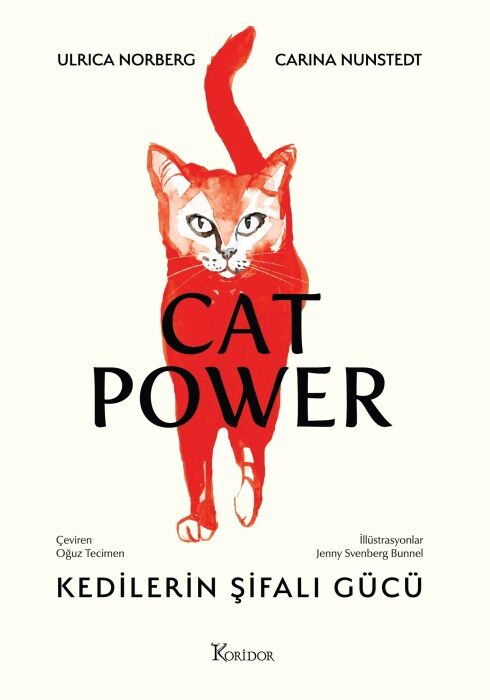 CAT POWER - KEDİLERİN ŞİFALI GÜCÜ
